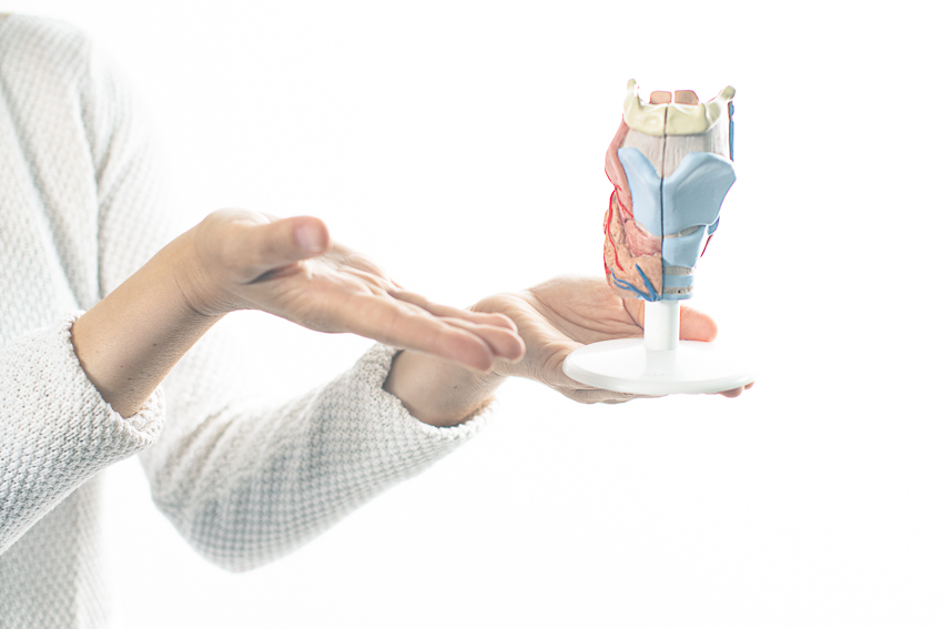 Modell Carmen Strobel Logopädie